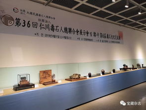 以石為媒，跨越山海 青島民間賞石藝術(shù)開啟跨國交流新篇章