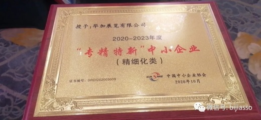 畢加帶你細(xì)看2020中國(guó)中小企業(yè)發(fā)展大會(huì) 展覽展示